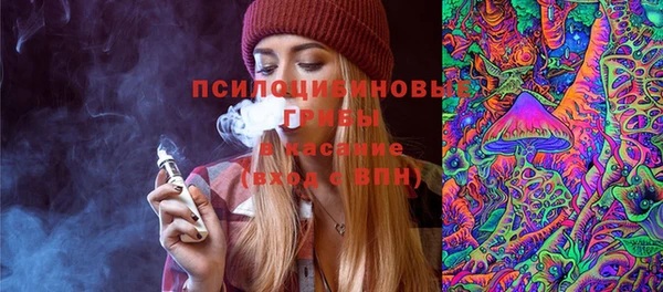 шишки Балабаново