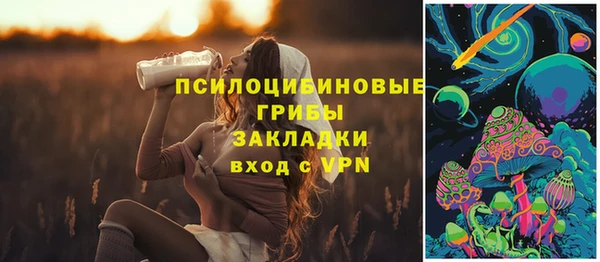 шишки Балабаново